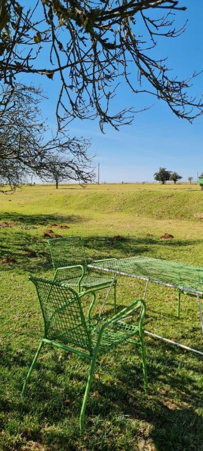 Green Thumb Farm Stay Ermelo Εξωτερικό φωτογραφία