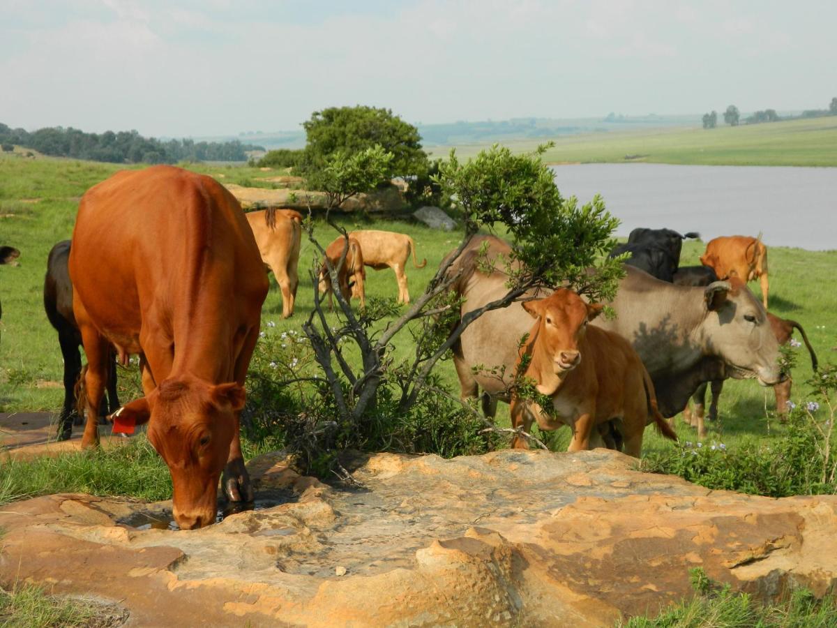 Green Thumb Farm Stay Ermelo Εξωτερικό φωτογραφία